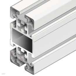 Profilé Aluminium 50x100L